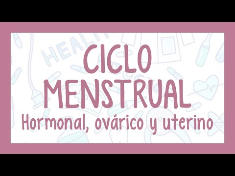 CICLO MENSTRUAL - ciclo sexual femenino: Hormonal, ovárico y uterino| ¡Fácil explicación!
