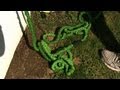 Expandable garden hose review | Consumer Reports Expandable garden hose review | Consumer Reports