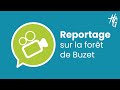 Reportage : la forêt de Buzet