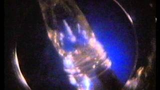 Halls Lemonade - Taste, Tang, Bubbles