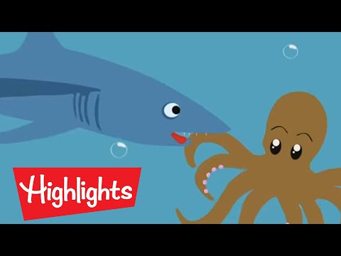 Did You Know? Science Videos For Kids | Highlights | Fun with a Purpose
