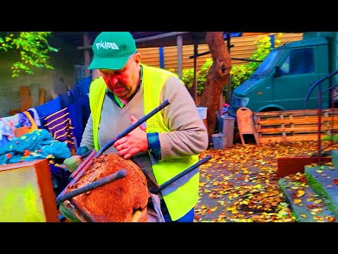 everyone in their element