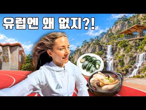 하루 종일 제일 신기한 야외 헬스장들 다녀봤습니다