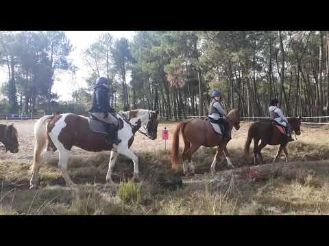 19/10/20 Un peu de théorie sur le cheval et le poney pendant une pause au pas