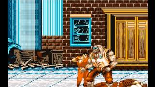 Final Fight (AMIGA)