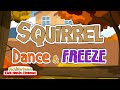 Squirrel DANCE And FREEZE Jack Hartmann