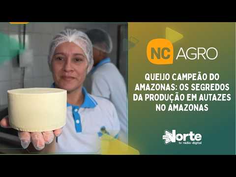 Queijo Campeão do Amazonas: Os Segredos da Produção em Autazes no amazonas