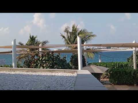 Beach Party View | Viewing of a beach environment @YasirJourney