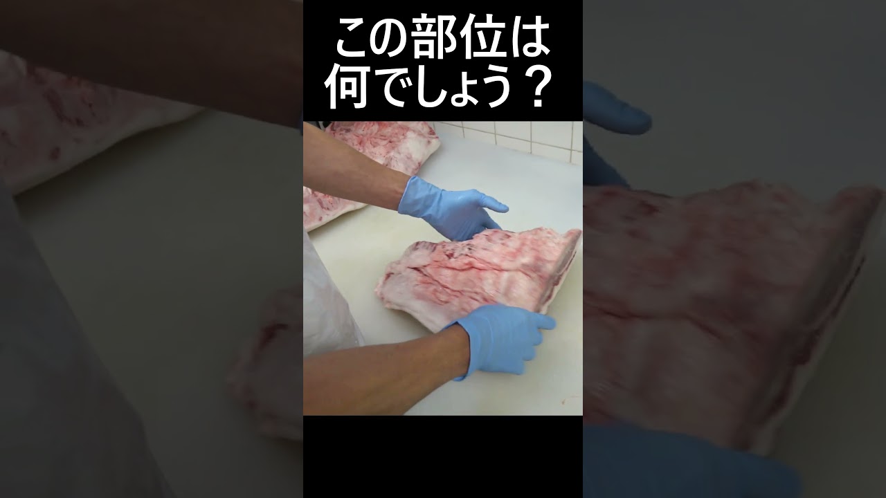 牛肉の部位、これはどこの部位？ #焼肉 #料理 #牛肉部位