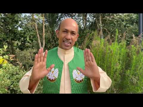 2622. വന്ദിച്ചില്ലേലും നിന്ദിക്കരുത് ! (Is 28,22) | Fr.Binoy Karimaruthinkal PDM