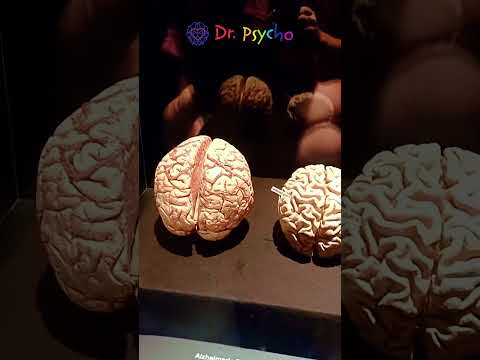 Interogații asupra unei vieți de calitate