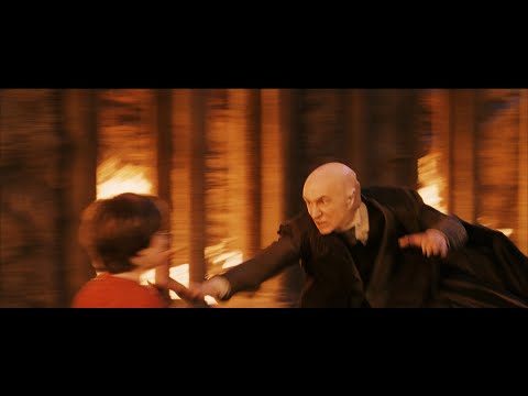 when the director is overqualified for the job