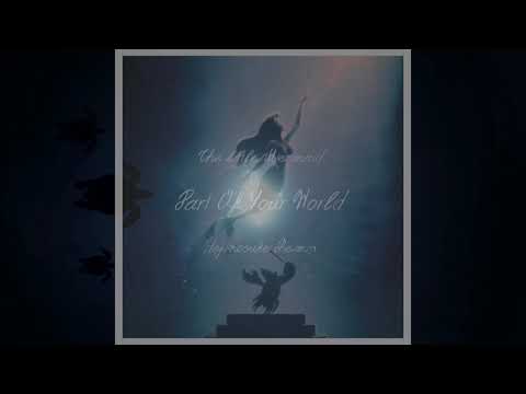 The Little Mermaid - Part of Your World (dejinosuke Remix)