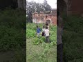Sholye Movi Gabhar Ka Dailogue