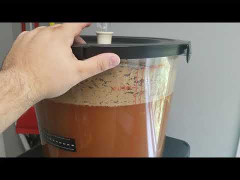 Triple IPA (India Pale Ale) - Moving to Secondary Fermentation and Dry Hopping Citra Hops!!