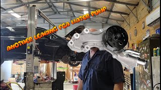 2017 Chrysler Pacifica Water Pump & Serpentine Belt Replacement