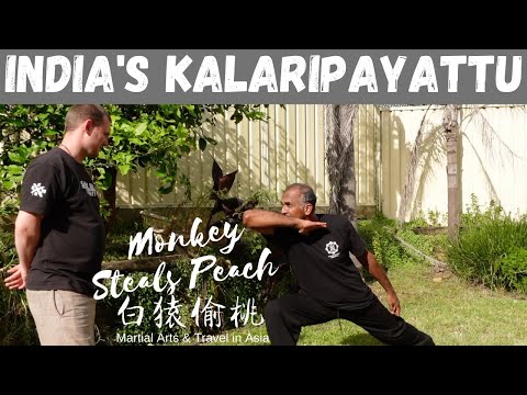 What is Kalaripayattu  - India's Native Martial Art p1 @kalaristudies