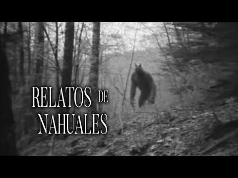 Le Renté Un Cuarto A Un Hombre NAHUAL Historias De Terror - REDE