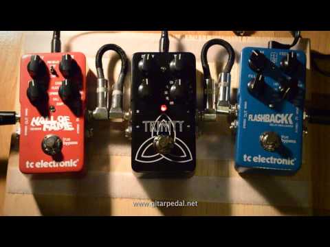 TC Electronic Hall of Fame Reverb Pedal vs. Trinity Reverb Pedal