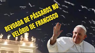 Revoada de Pássaros no Velório do Papa Franscisco