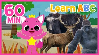 Learn Animals&#39; Names with Pinkfong | +Compilation | English Vocabulary for Kids | Pinkfong ABC kids
