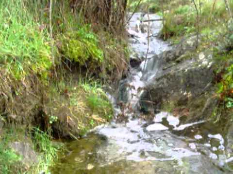 Sierra Norte Piñúecar Madarcos