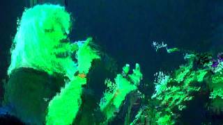 Psychic TV - White Nights @Moscow