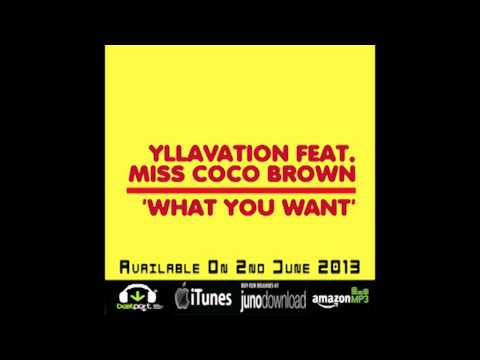 What You Want - Yllavation feat. Miss Coco Brown