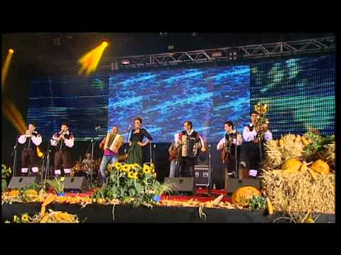 ZORAN ZORKO BAND - ATTRACTIVE PERFORMANCE - NA GOLICI ( COVER )