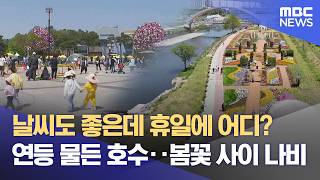 나비 날고 연등 밝히고'‥ 주말 다채로운 축제 (2026.04.24/뉴스데스크/여수MBC)