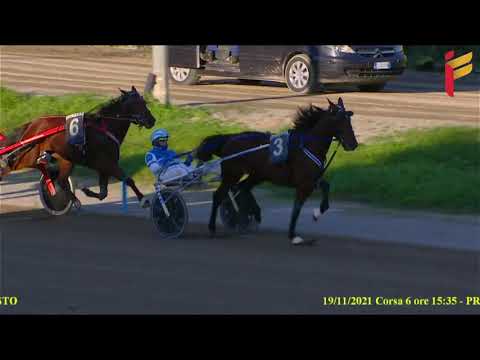 VI corsa del 19 Novembre 2021 - 3 Anni - Metri 1600 - Gara Centrale