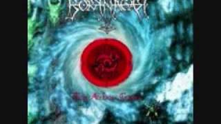 Borknagar - Oceans Rise