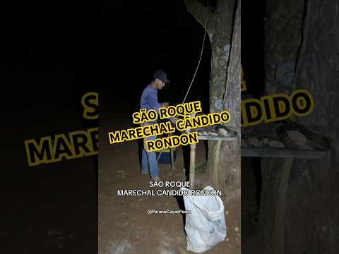 São Roque marechal Cândido Rondon - siga-me para mais vídeos #parana #pescaria #pescador #pesca #pr