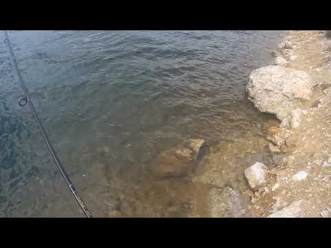 Acme kastmaster Trout Fishing