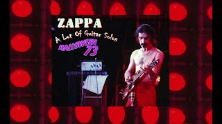 Frank Zappa A Lot Of Guitar Solos - Halloween 73