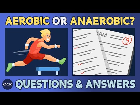 Aerobic and anaerobic exercise (1.4) - OCR GCSE PE - Exam questions and model answers