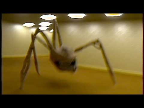 The Lurid Langoliers! | Backrooms Adventures PART 3