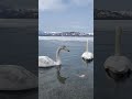 channel