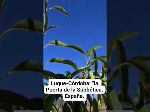 "LA PUERTA DE LA SUBBÉTICA CORDOBESA": LUQUE-CÓRDOBA. España.