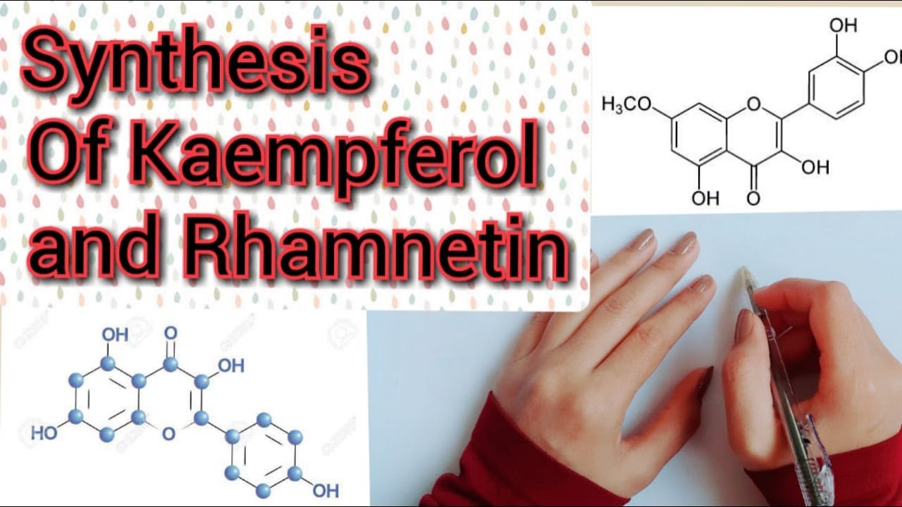 Detailed Mechanism for the Synthesis Of Kaempferol and Rhamnetin| Derivatives Of Flavonoids| - YouTube