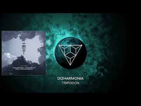 PREMIERE: Dizharmonia - Tripodon (Original Mix) [TM&Y Records]