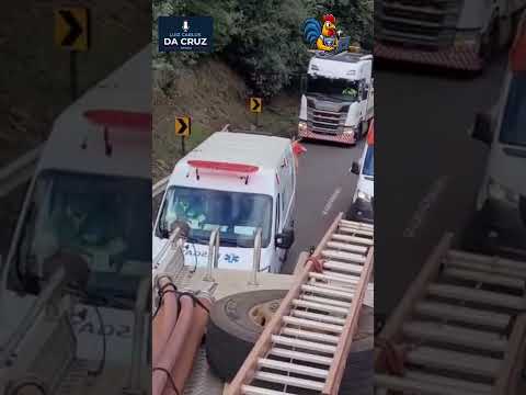 Carga de frangos é saqueada após tombamento na BR-277