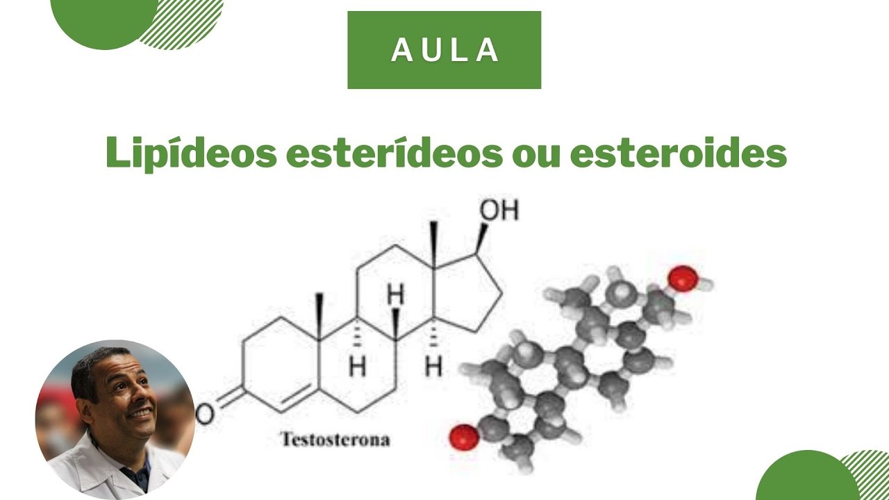 Lipídeos - esteroides