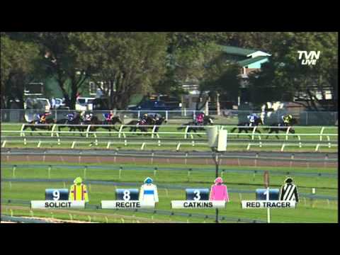 2014 Cellarbrations Queen of the Turf Stakes -- Diamond Drille