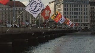 EFI 2015 - Success for All