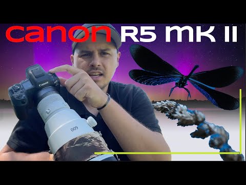 Die perfekte Kamera für Naturfotografen? Tierfotografie Test mit Canon R5 mk II