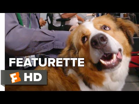 a dog's journey premiere