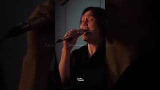 Download lagu STORY WA || ONCE - PUPUS mp3