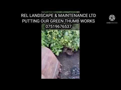 REL Landscape Maintenance Ltd video.