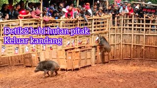 Download lagu DETIK2 BAGONG HUTAN PITAK KONTES DUGONG CIMARA SUMEDANG KELUAR KANDANG mp3 Download lagu DETIK2 BAGONG HUTAN PITAK KONTES DUGONG CIMARA SUMEDANG KELUAR KANDANG mp3